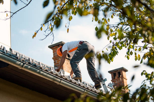 Best Metal Roofing Contractor  in Webster, FL