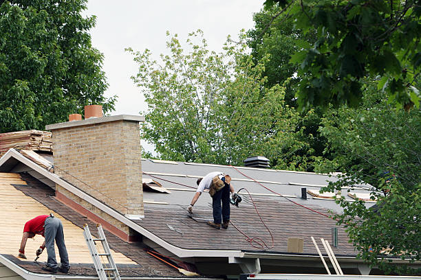 Best Local Roofing Companies  in Webster, FL