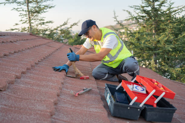 Best Tile Roofing Contractor  in Webster, FL