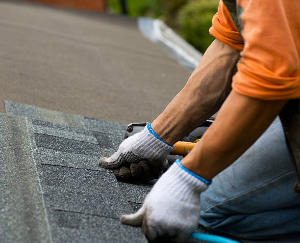 Roof Gutter Cleaning in Webster, FL