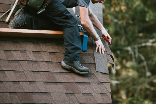 Quick and Trustworthy Emergency Roof Repair Services in Webster, FL